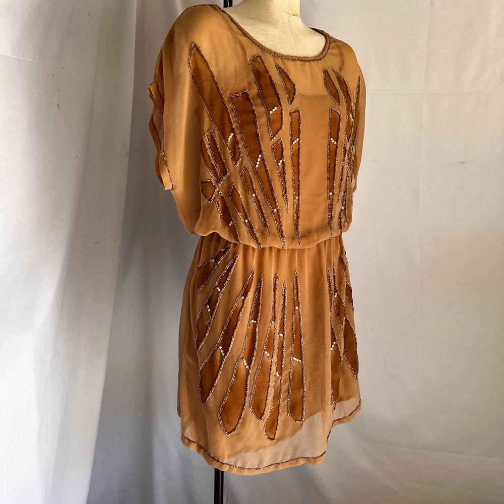 Romeo and Juliet beaded sheer dress